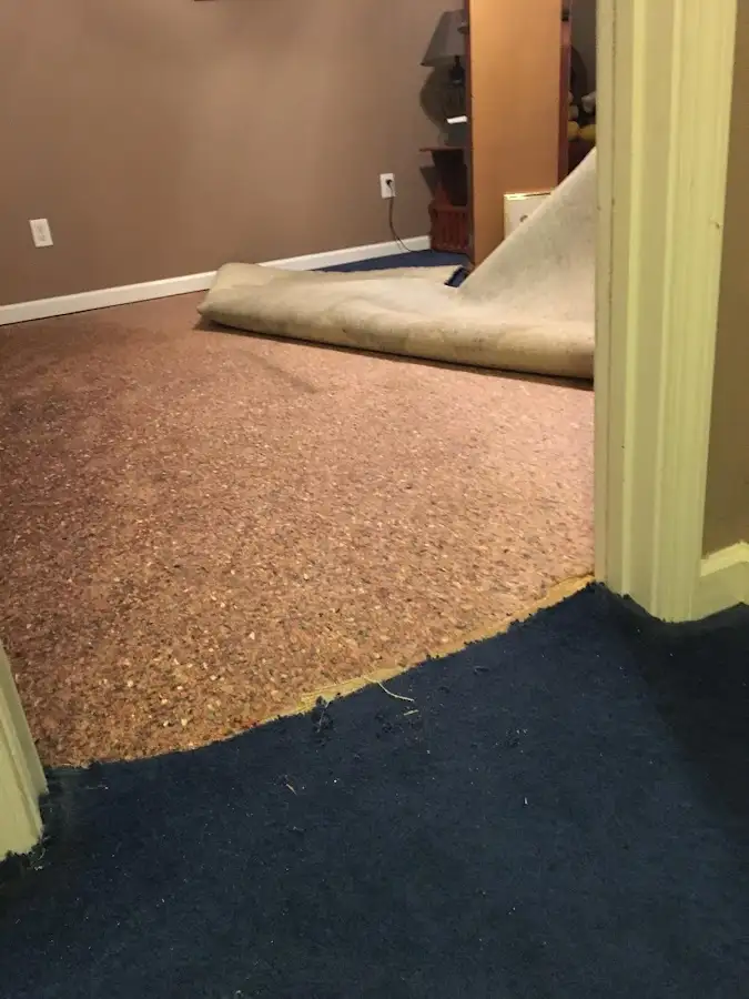Carpet pad removal revealing water damage during Drying & Dehumidification in Le Roy