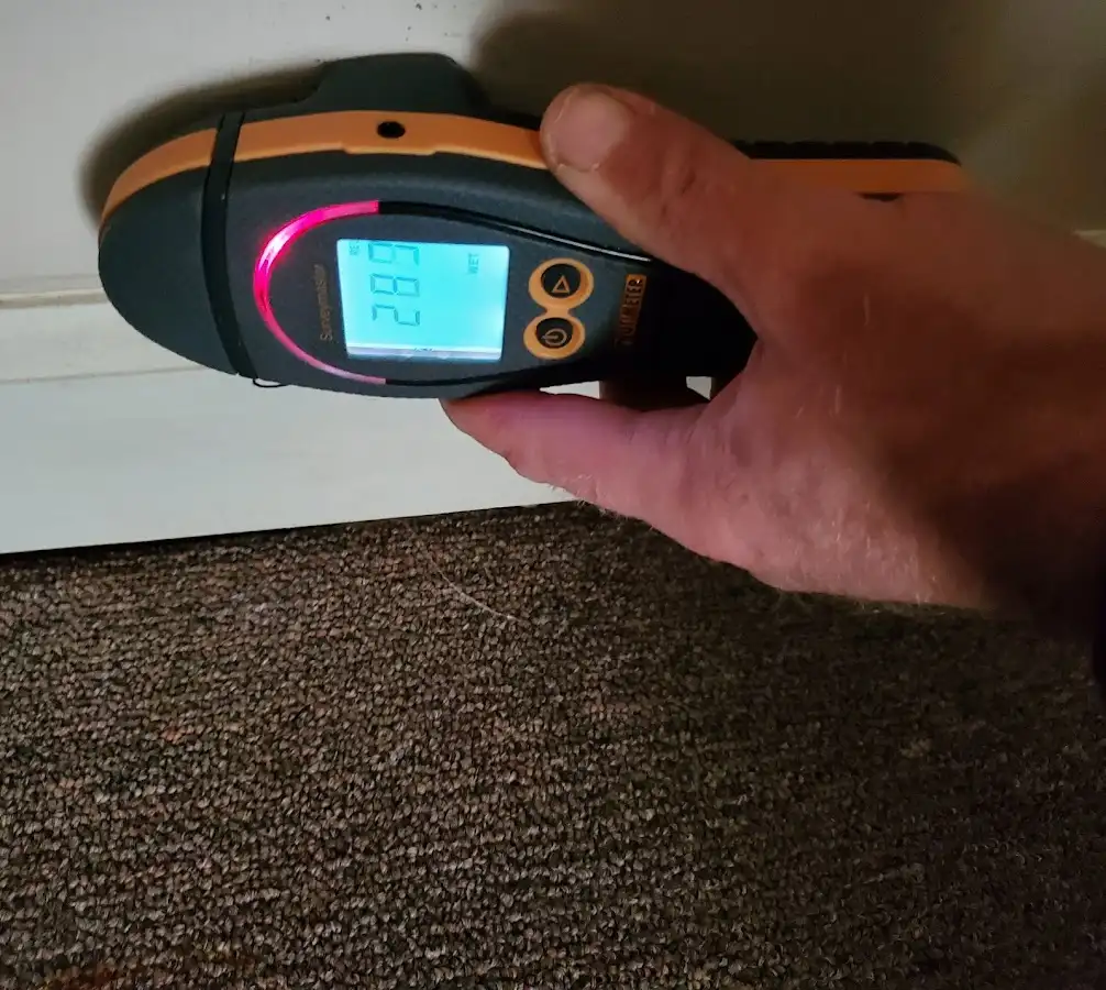 Moisture detection at baseboard during Burst Pipe Cleanup in Le Roy